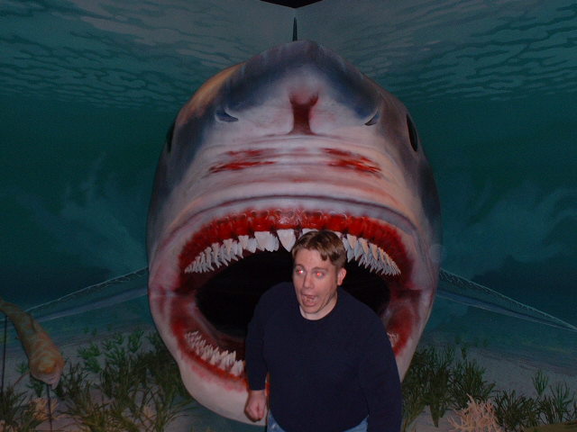 jakeshark.jpg